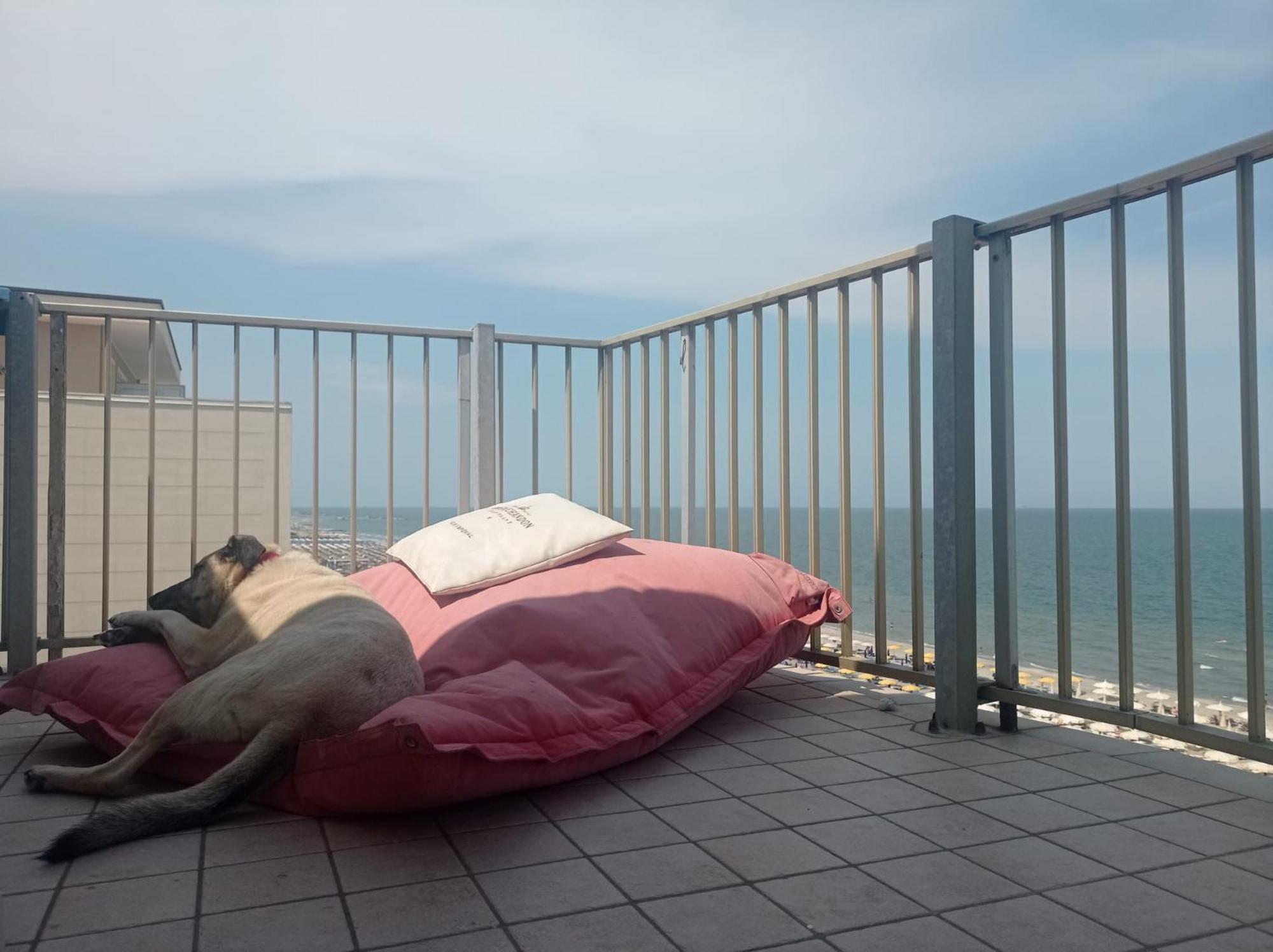 Negresco Bed & Breakfast